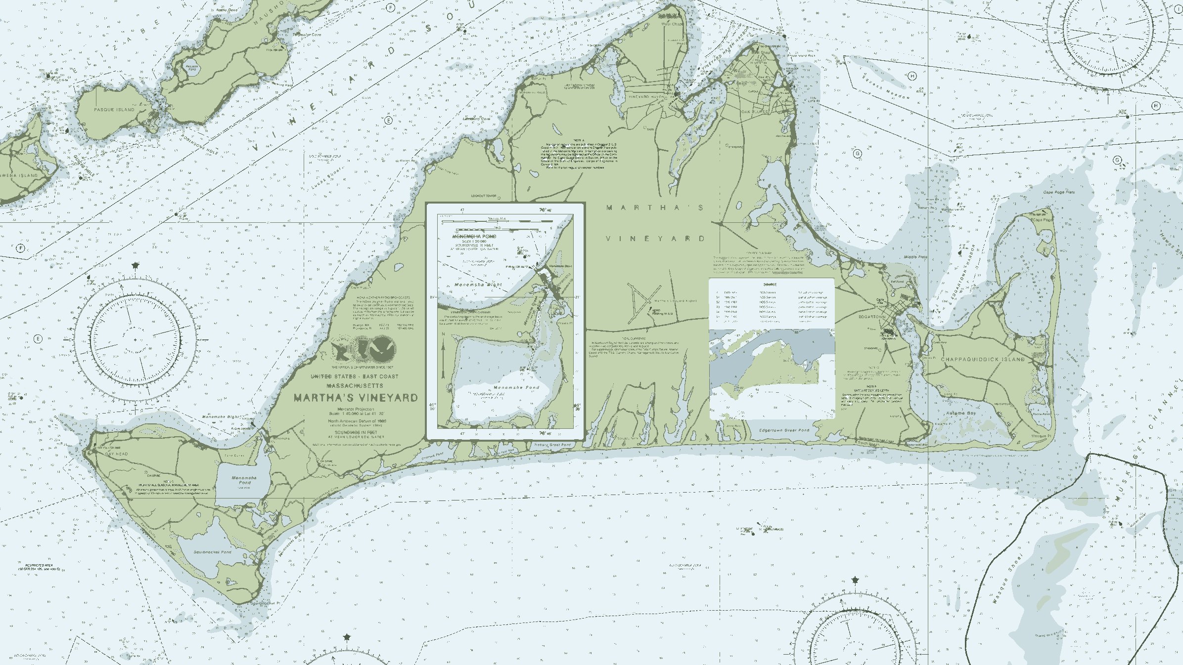 Martha's Vineyard nautical chart in Salt Marsh, framed on a wall